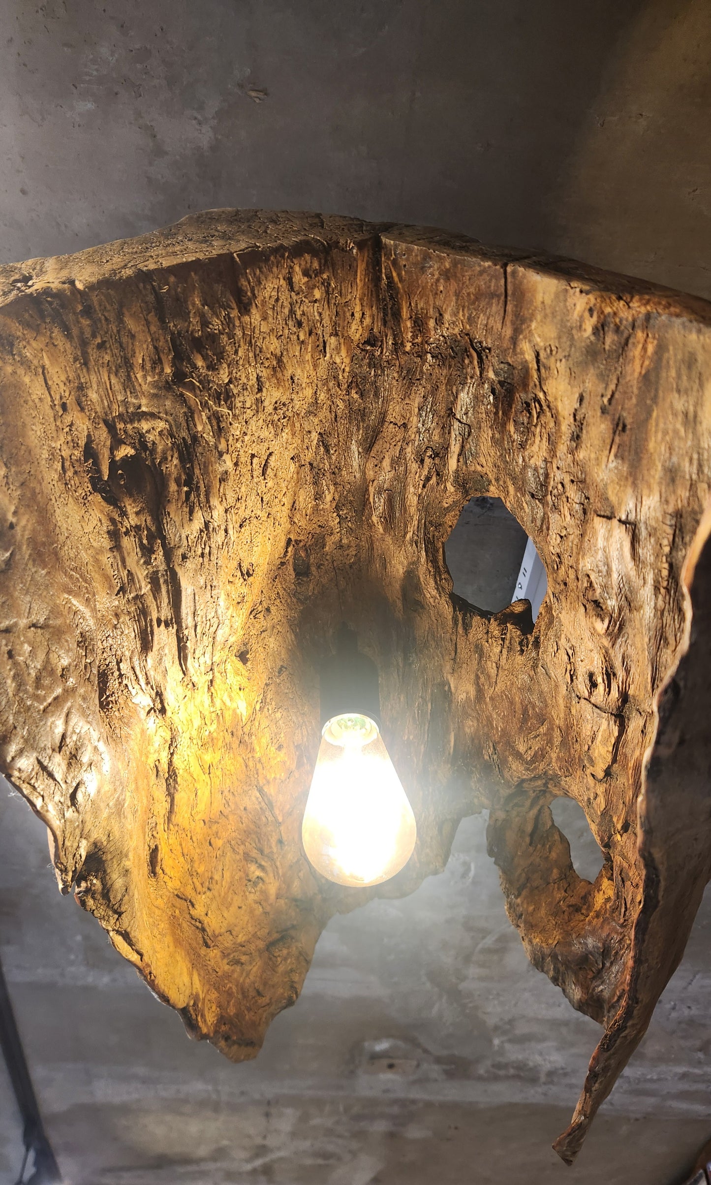 Lámpara Colgante de Tronco Natural (Pieza Única)