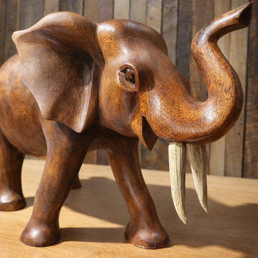 Elefante