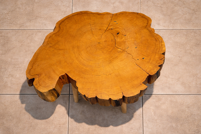 Mesa de Centro Basa Coihue