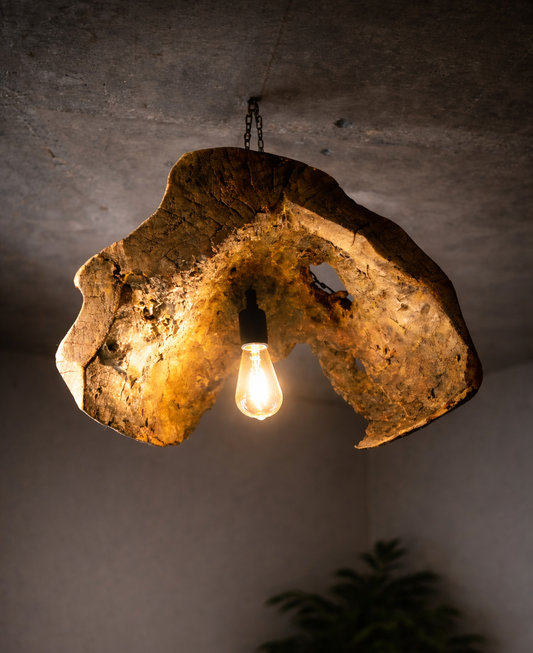 Lámpara Colgante de Tronco Natural (Pieza Única)