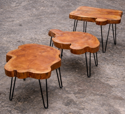 Mesa de Centro Basa | Fierro