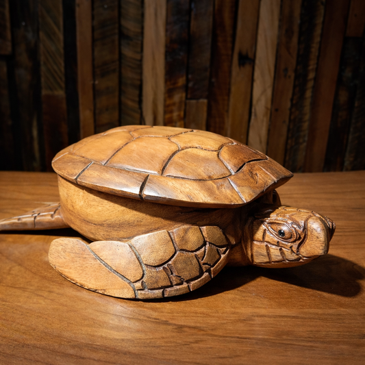 Tortuga cofre