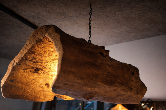 Lámpara Colgante de Tronco Natural (Pieza Única)